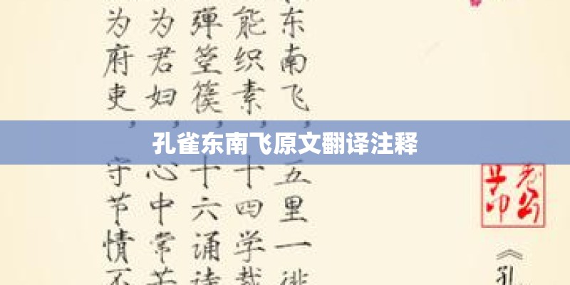 含羞草的生长过程