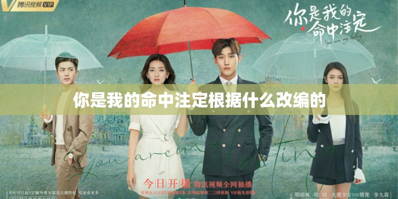 你是我的命中注定根据什么改编的