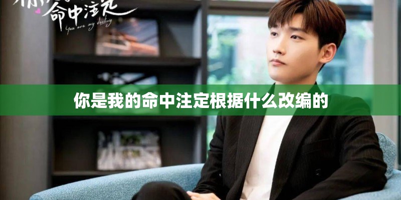 你是我的命中注定根据什么改编的