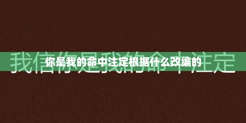 你是我的命中注定根据什么改编的