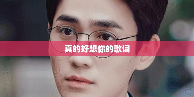 真的好想你的歌词