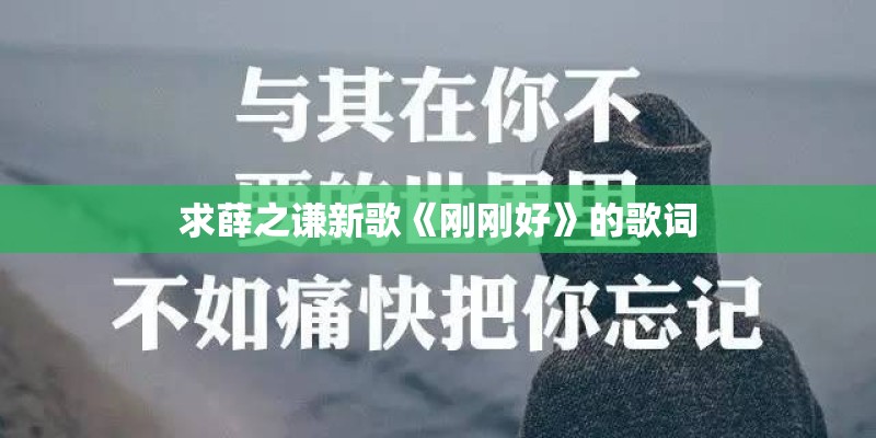 求薛之谦新歌《刚刚好》的歌词