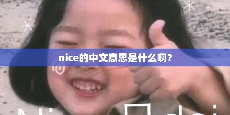 nice的中文意思是什么啊？
