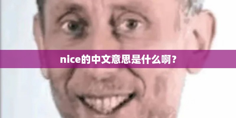 nice的中文意思是什么啊？