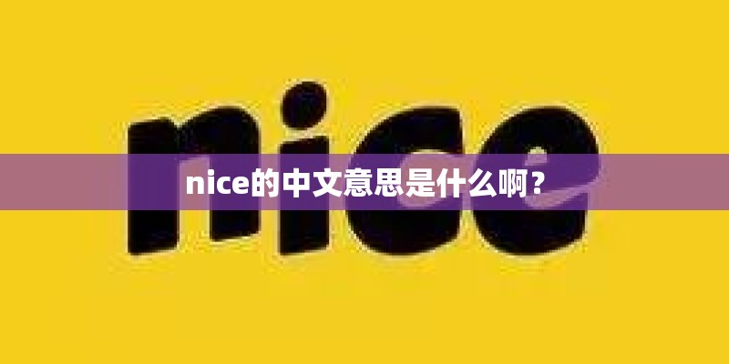nice的中文意思是什么啊？