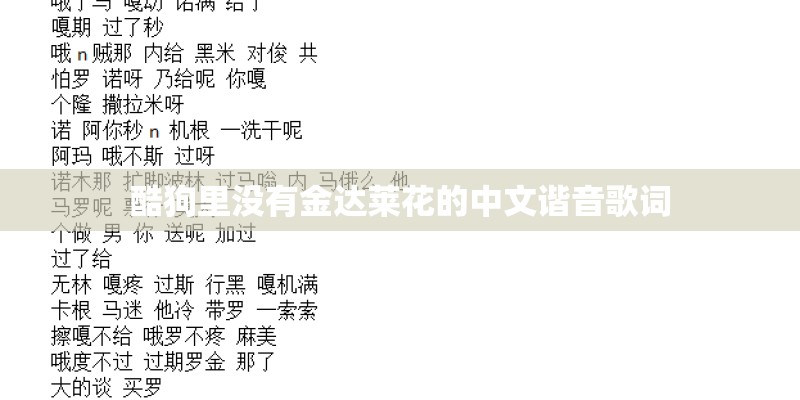 酷狗里没有金达莱花的中文谐音歌词