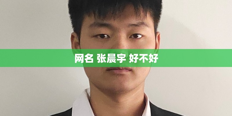 网名 张晨宇 好不好