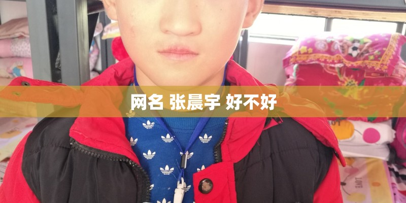 网名 张晨宇 好不好