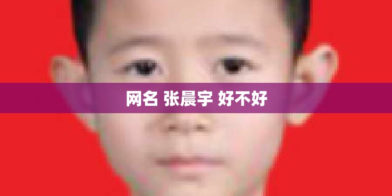 网名 张晨宇 好不好
