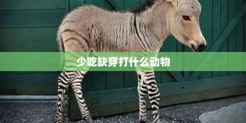 少吃缺穿打什么动物