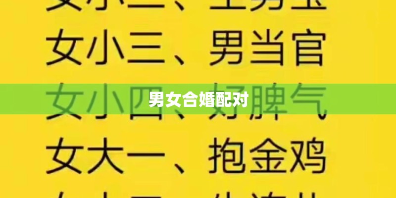 男女合婚配对