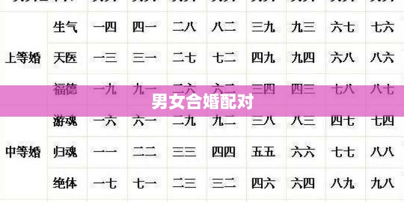 男女合婚配对