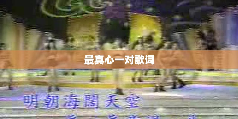 最真心一对歌词