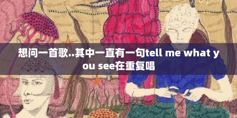想问一首歌..其中一直有一句tell me what you see在重复唱
