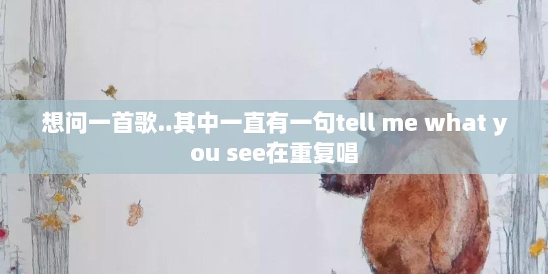 想问一首歌..其中一直有一句tell me what you see在重复唱