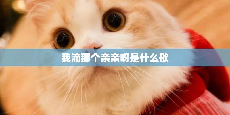 我滴那个亲亲呀是什么歌