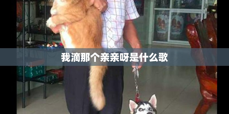 我滴那个亲亲呀是什么歌