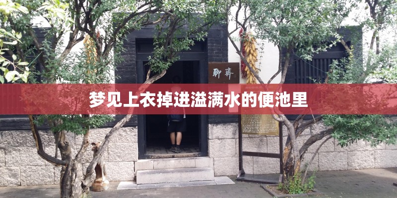 梦见上衣掉进溢满水的便池里