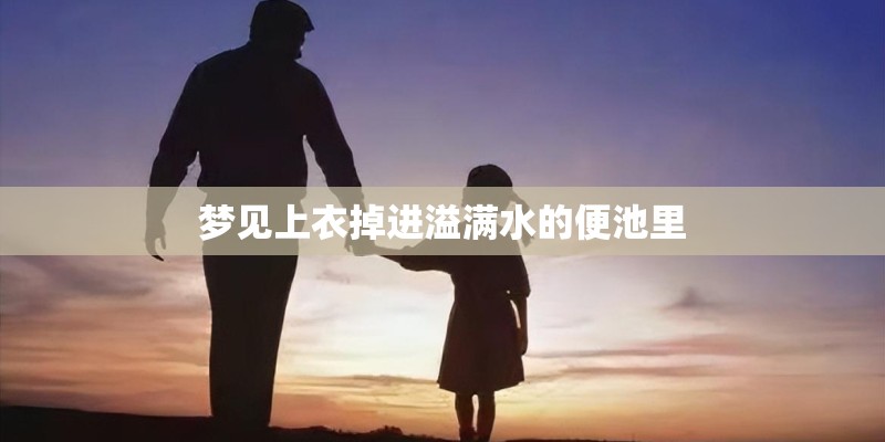 梦见上衣掉进溢满水的便池里