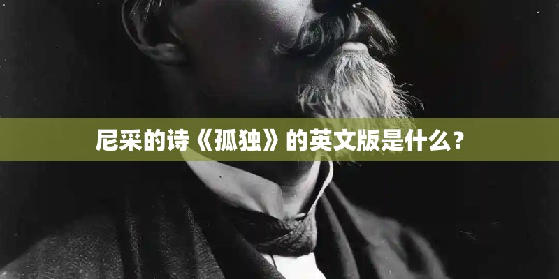 尼采的诗《孤独》的英文版是什么？