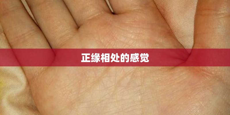 正缘相处的感觉