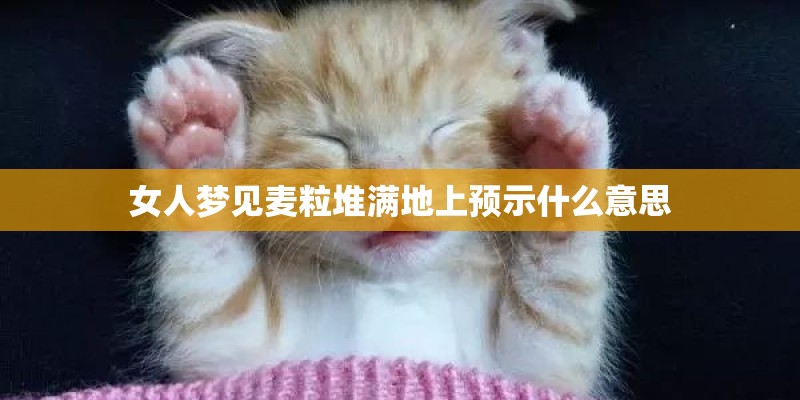 女人梦见麦粒堆满地上预示什么意思
