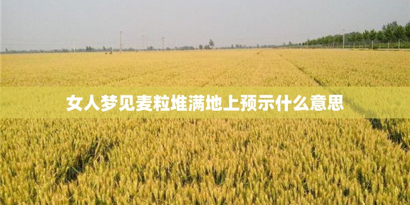 梦见萱草嫩苗的预兆