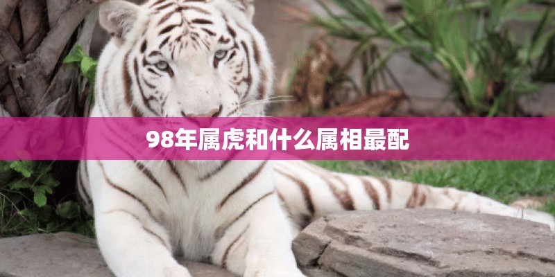 98年属虎和什么属相最配