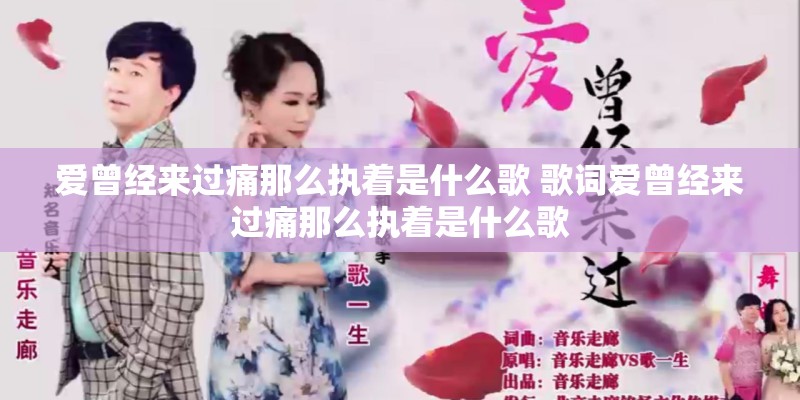 爱曾经来过痛那么执着是什么歌 歌词爱曾经来过痛那么执着是什么歌