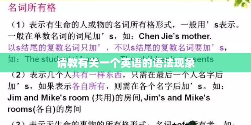 请教有关一个英语的语法现象