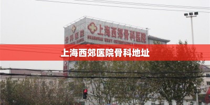 上海西郊医院骨科地址