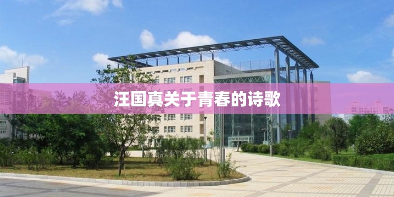 中草药：盐麸子的功效与作用