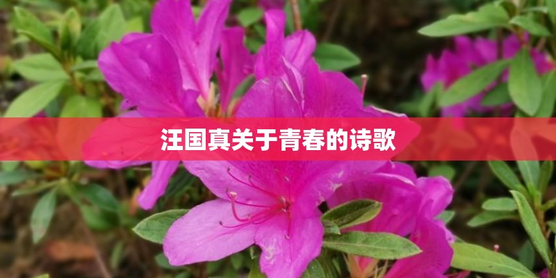 汪国真关于青春的诗歌 汪国真关于青春的诗歌