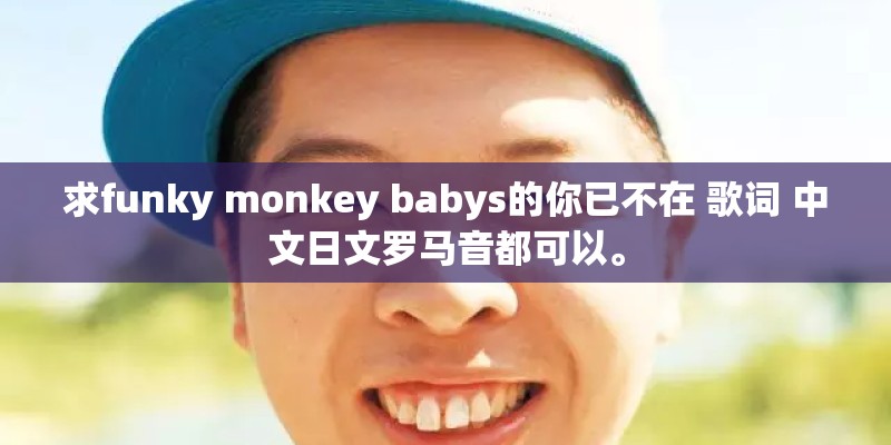 求funky monkey babys的你已不在 歌词 中文日文罗马音都可以。