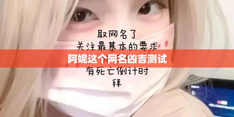 阿妮这个网名凶吉测试