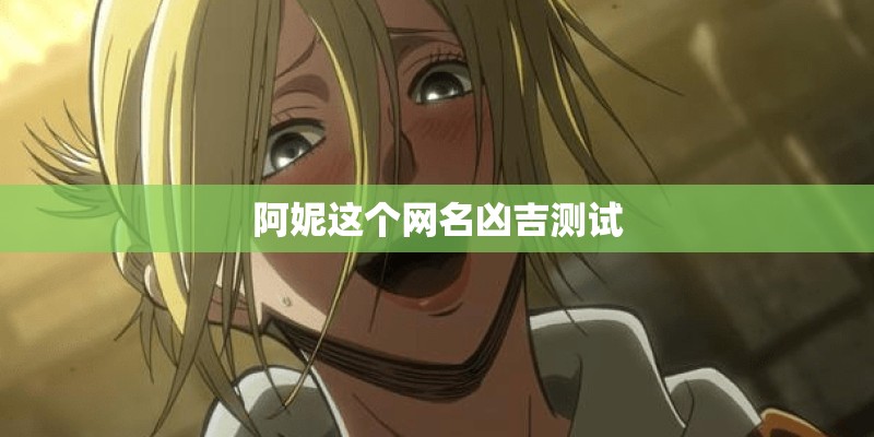 阿妮这个网名凶吉测试
