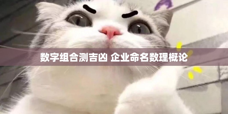 数字组合测吉凶 企业命名数理概论