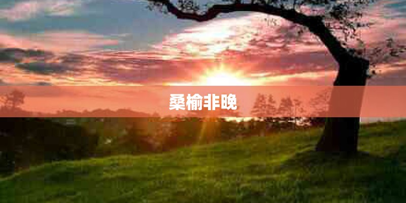 桑榆非晚