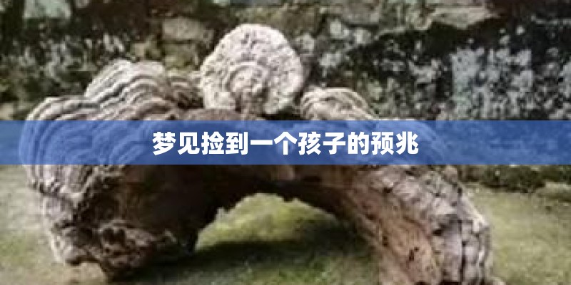 梦见捡到一个孩子的预兆