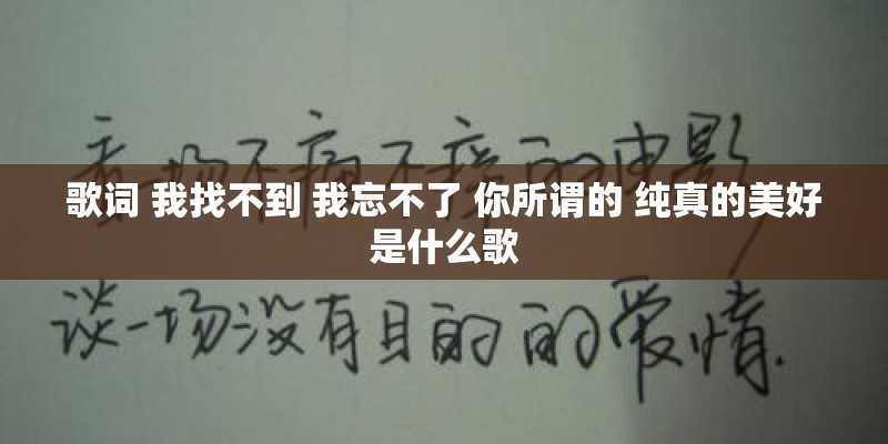 歌词 我找不到 我忘不了 你所谓的 纯真的美好是什么歌