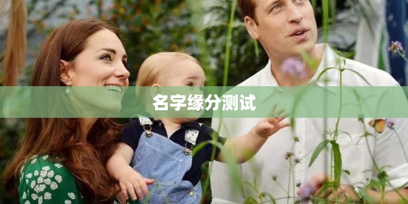 名字缘分测试