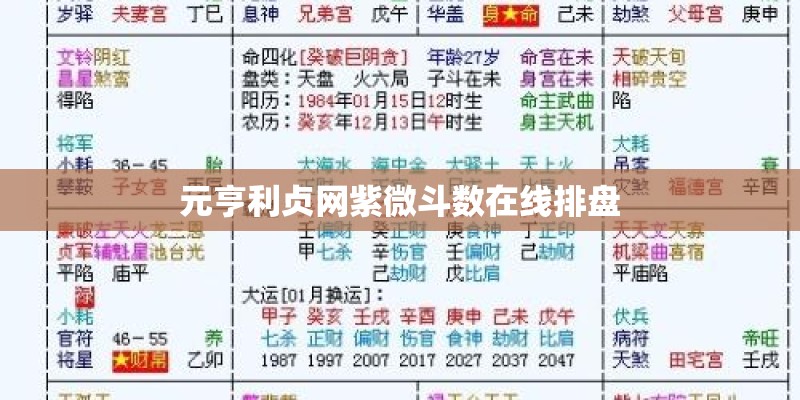 元亨利贞网紫微斗数在线排盘