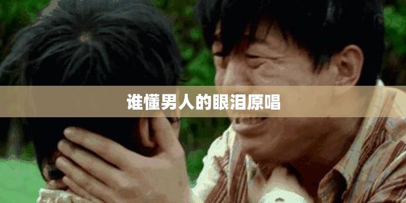 谁懂男人的眼泪原唱