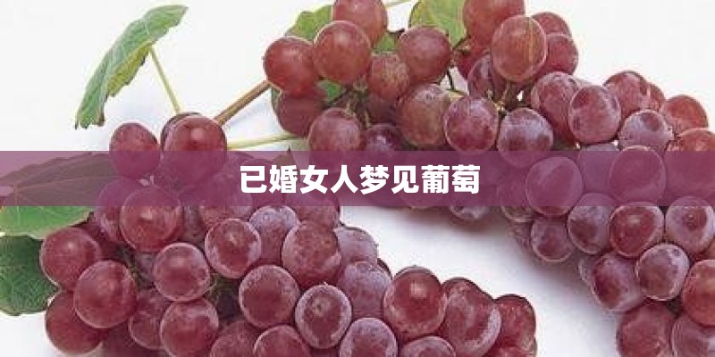 已婚女人梦见葡萄