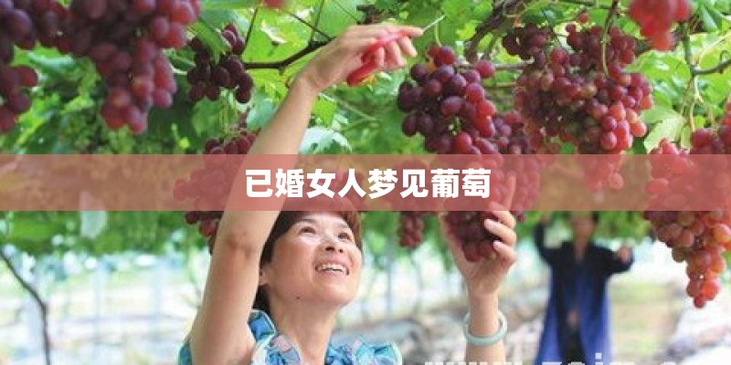 已婚女人梦见葡萄