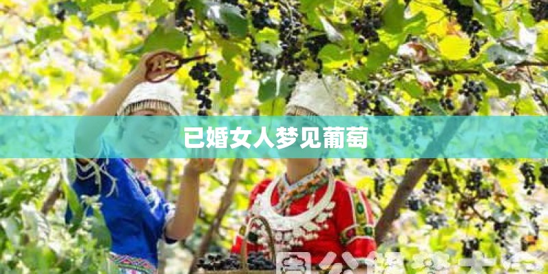 已婚女人梦见葡萄