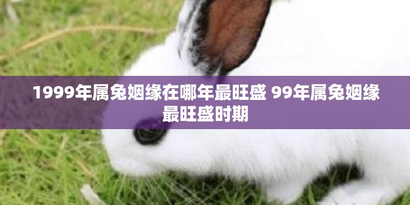 1999年属兔姻缘在哪年最旺盛 99年属兔姻缘最旺盛时期