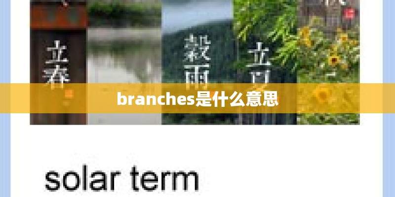 什么时候种萝卜合适？