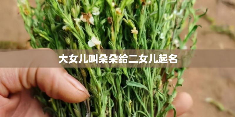 大女儿叫朵朵给二女儿起名