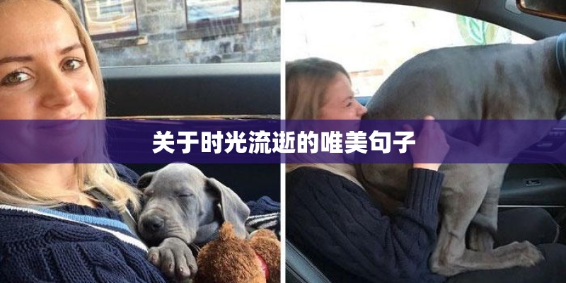 关于时光流逝的唯美句子 关于时光流逝的唯美句子